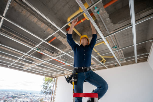 Best Local Plumber Services  in Tamalpais Homestead Valley, CA